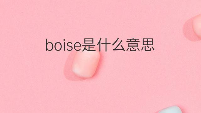 boise是什么意思 boise的中文翻译、读音、例句