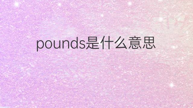 pounds是什么意思 pounds的中文翻译、读音、例句