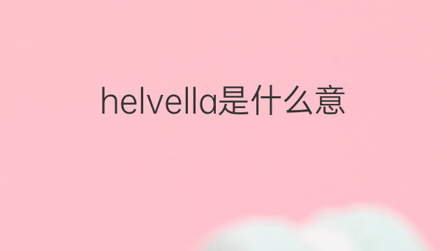 helvella是什么意思 helvella的中文翻译、读音、例句