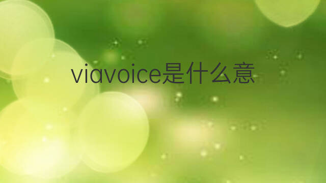 viavoice是什么意思 viavoice的中文翻译、读音、例句