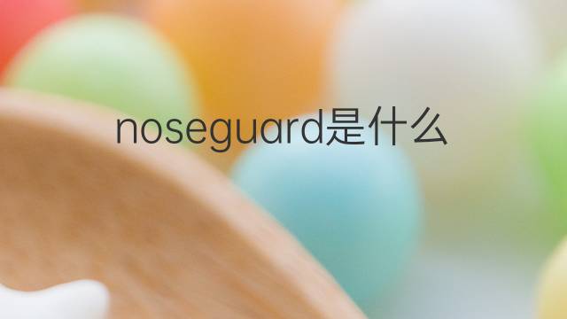 noseguard是什么意思 noseguard的中文翻译、读音、例句