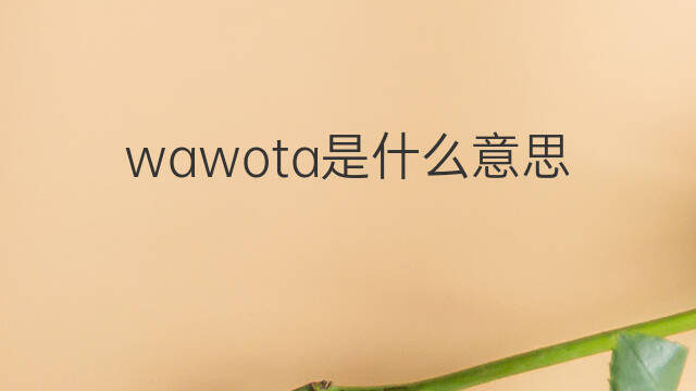 wawota是什么意思 wawota的中文翻译、读音、例句