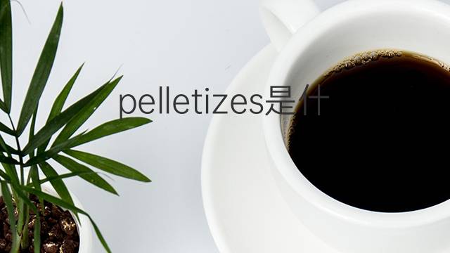 pelletizes是什么意思 pelletizes的中文翻译、读音、例句