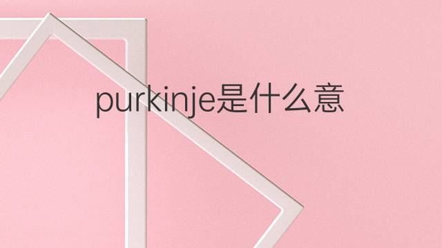 purkinje是什么意思 purkinje的中文翻译、读音、例句