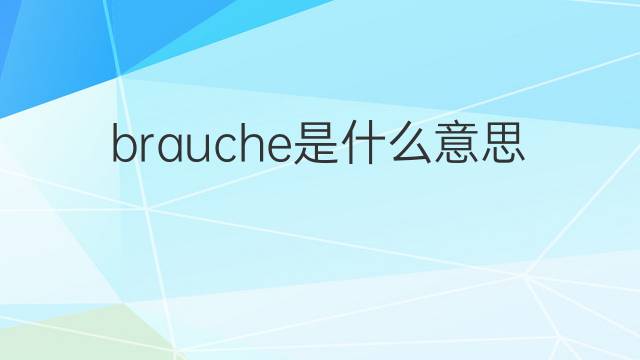 brauche是什么意思 brauche的中文翻译、读音、例句