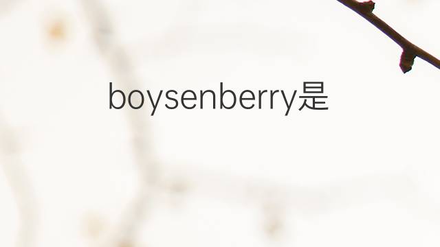 boysenberry是什么意思 boysenberry的中文翻译、读音、例句