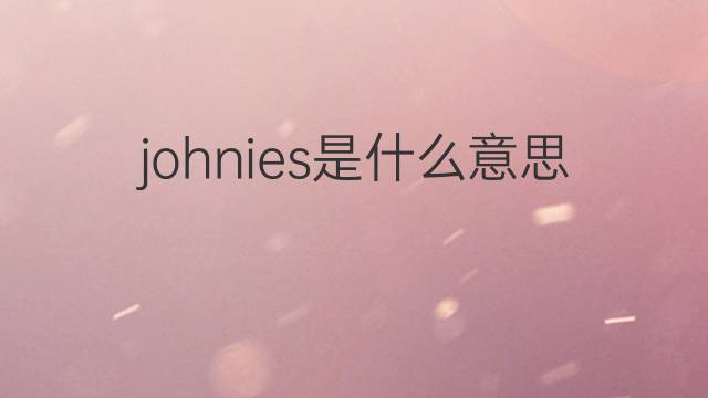 johnies是什么意思 johnies的中文翻译、读音、例句