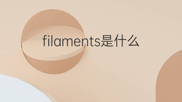 filaments是什么意思 filaments的中文翻译、读音、例句