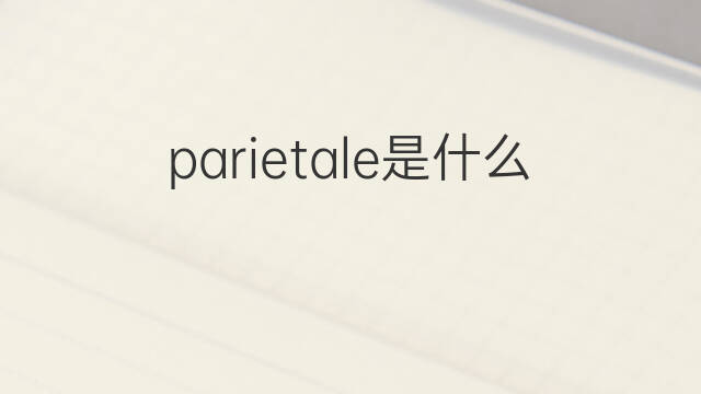 parietale是什么意思 parietale的中文翻译、读音、例句