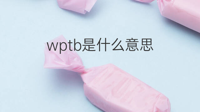 wptb是什么意思 wptb的中文翻译、读音、例句