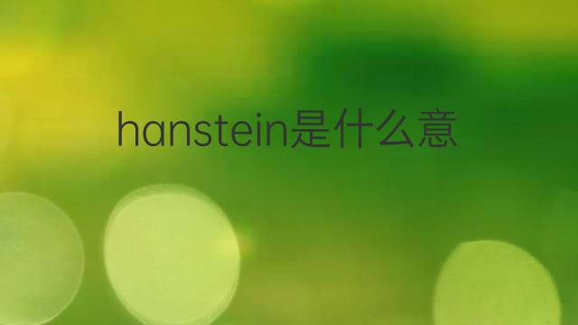 hanstein是什么意思 hanstein的中文翻译、读音、例句