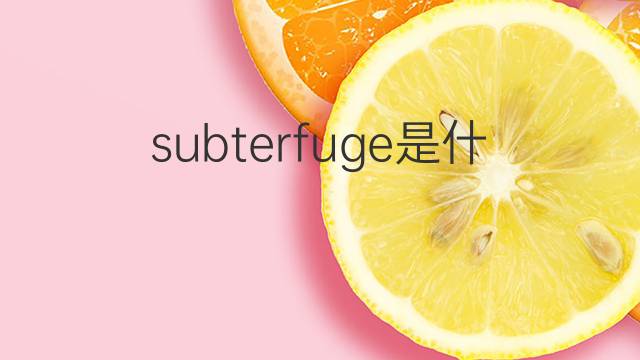 subterfuge是什么意思 subterfuge的中文翻译、读音、例句