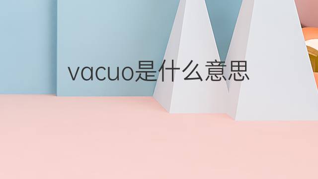 vacuo是什么意思 vacuo的中文翻译、读音、例句