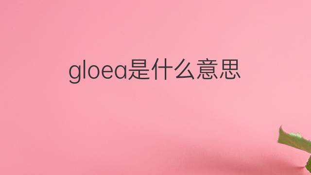 gloea是什么意思 gloea的中文翻译、读音、例句