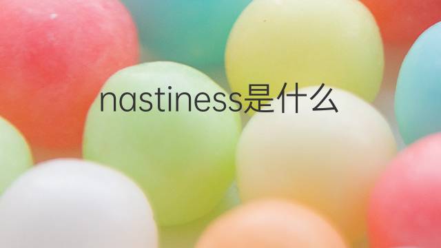 nastiness是什么意思 nastiness的中文翻译、读音、例句