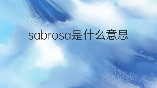 sabrosa是什么意思 sabrosa的中文翻译、读音、例句