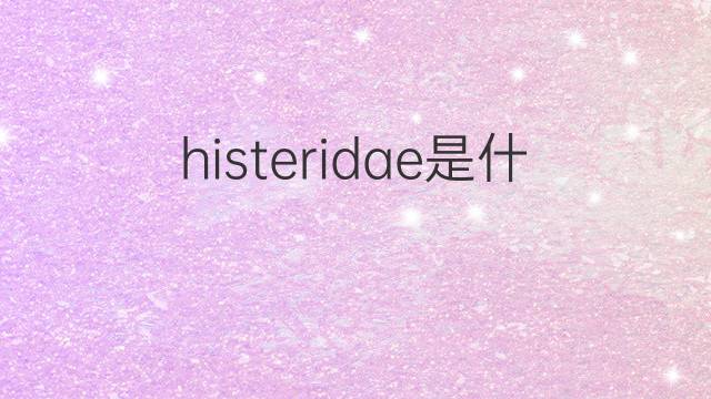 histeridae是什么意思 histeridae的中文翻译、读音、例句