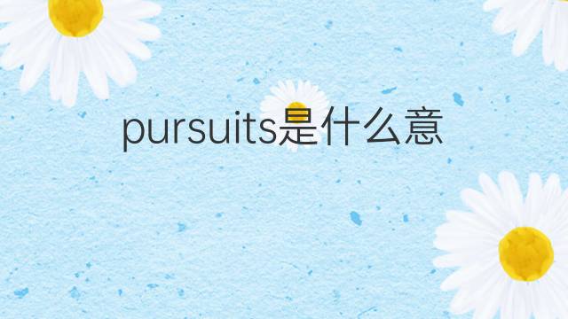 pursuits是什么意思 pursuits的中文翻译、读音、例句