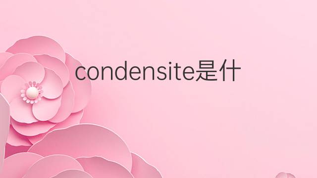 condensite是什么意思 condensite的中文翻译、读音、例句