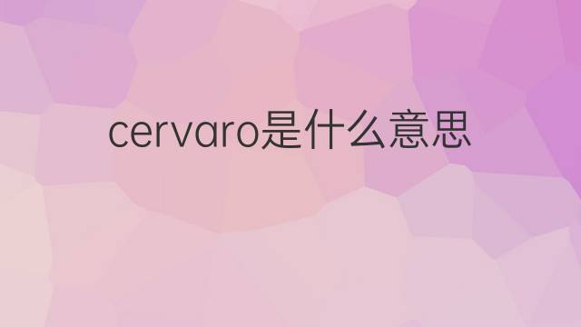 cervaro是什么意思 cervaro的中文翻译、读音、例句