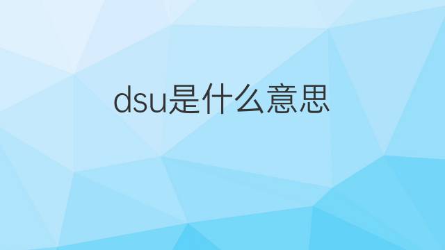 dsu是什么意思 dsu的中文翻译、读音、例句