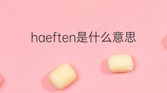haeften是什么意思 haeften的中文翻译、读音、例句