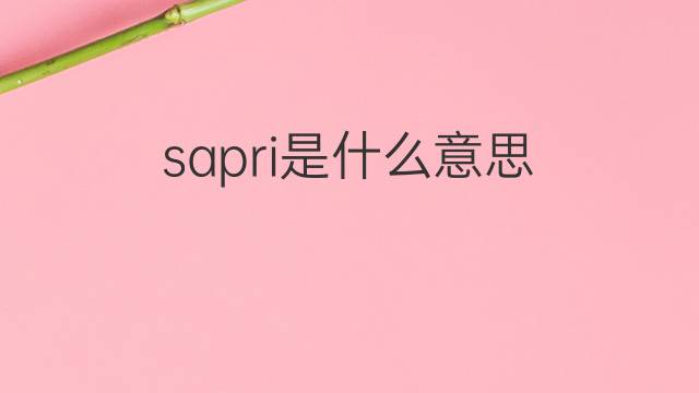 sapri是什么意思 sapri的中文翻译、读音、例句