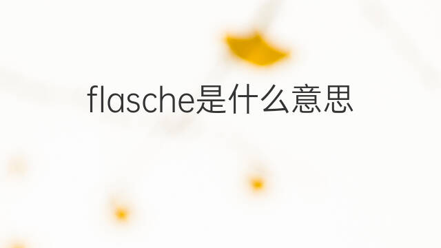 flasche是什么意思 flasche的中文翻译、读音、例句