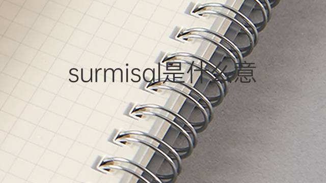 surmisal是什么意思 surmisal的中文翻译、读音、例句