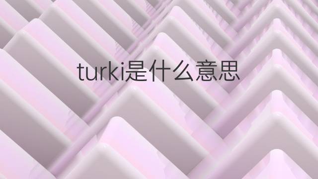 turki是什么意思 turki的中文翻译、读音、例句