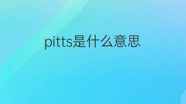 pitts是什么意思 pitts的中文翻译、读音、例句