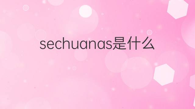 sechuanas是什么意思 sechuanas的中文翻译、读音、例句