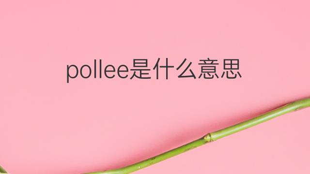 pollee是什么意思 pollee的中文翻译、读音、例句