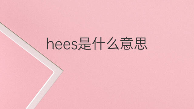 hees是什么意思 hees的中文翻译、读音、例句