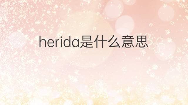herida是什么意思 herida的中文翻译、读音、例句