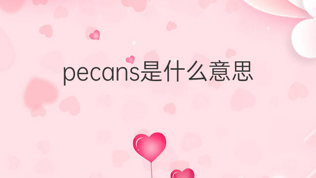 pecans是什么意思 pecans的中文翻译、读音、例句