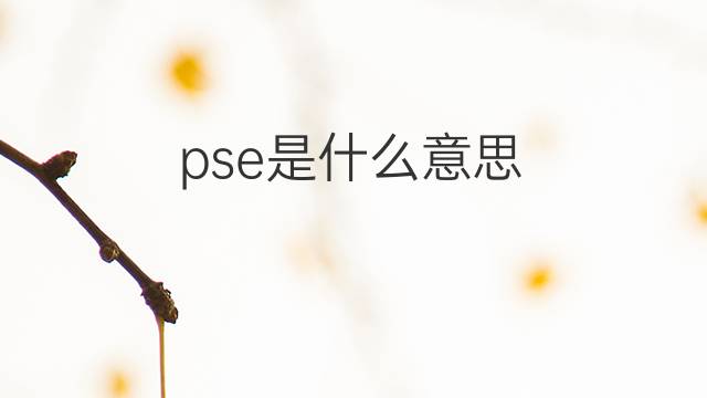 pse是什么意思 pse的中文翻译、读音、例句