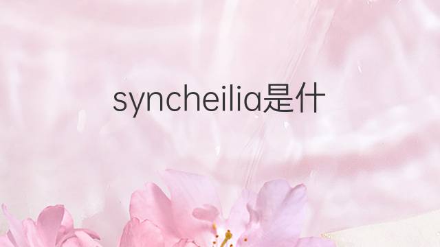 syncheilia是什么意思 syncheilia的中文翻译、读音、例句