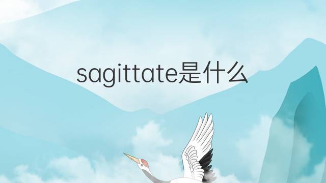 sagittate是什么意思 sagittate的中文翻译、读音、例句