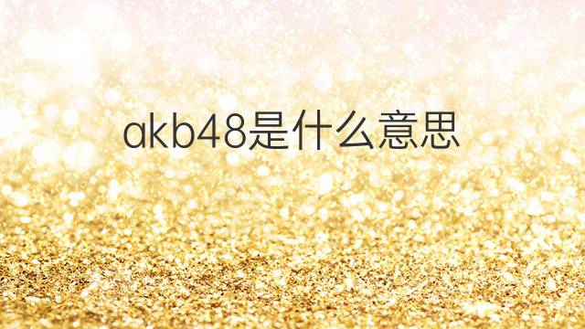 akb48是什么意思 akb48的中文翻译、读音、例句