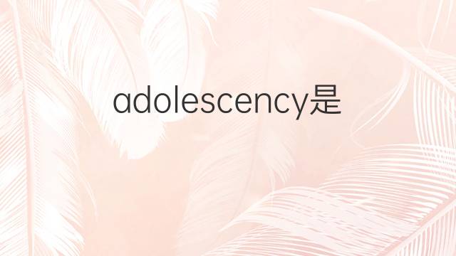 adolescency是什么意思 adolescency的中文翻译、读音、例句