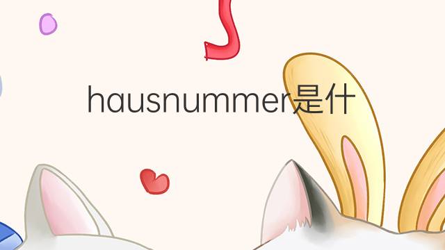 hausnummer是什么意思 hausnummer的中文翻译、读音、例句