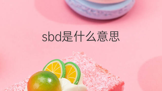sbd是什么意思 sbd的中文翻译、读音、例句