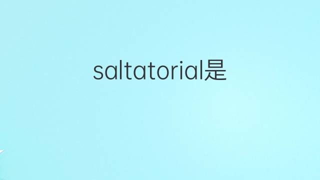 saltatorial是什么意思 saltatorial的中文翻译、读音、例句