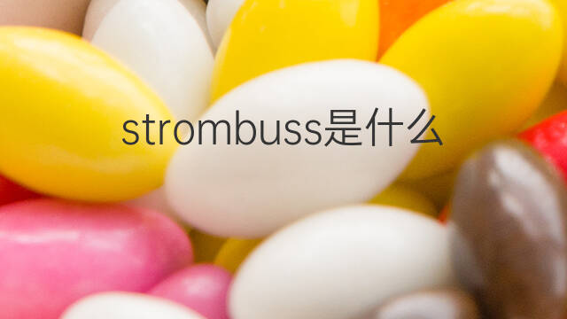 strombuss是什么意思 strombuss的中文翻译、读音、例句
