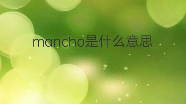 mancho是什么意思 mancho的中文翻译、读音、例句