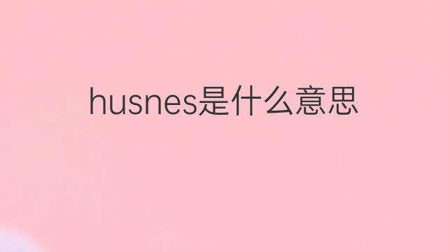 husnes是什么意思 husnes的中文翻译、读音、例句