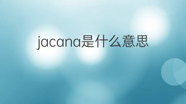 jacana是什么意思 jacana的中文翻译、读音、例句