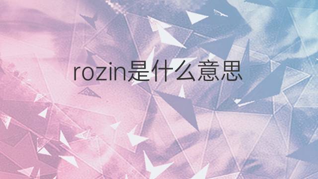 rozin是什么意思 rozin的中文翻译、读音、例句