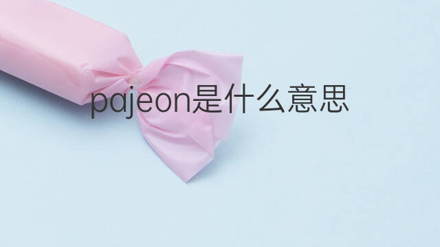 pajeon是什么意思 pajeon的中文翻译、读音、例句